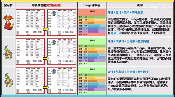 宝可梦冠军国际服