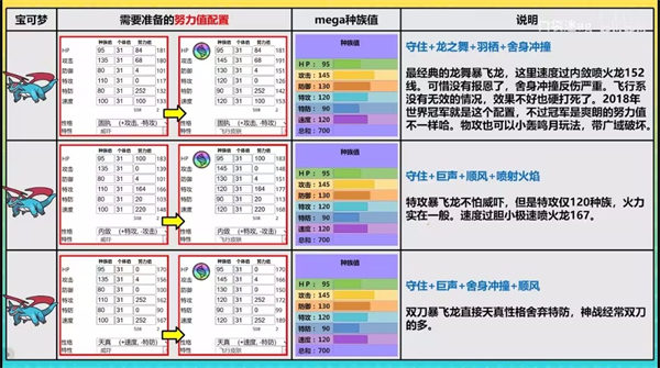 宝可梦冠军国际服