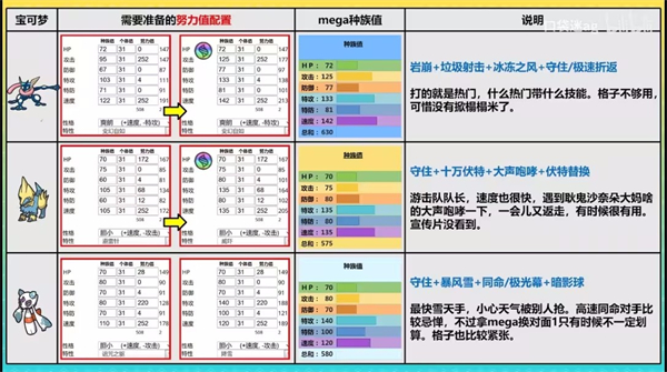 宝可梦冠军国际服