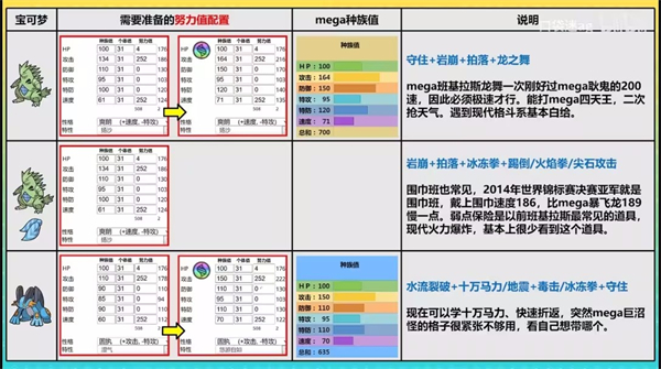 宝可梦冠军国际服