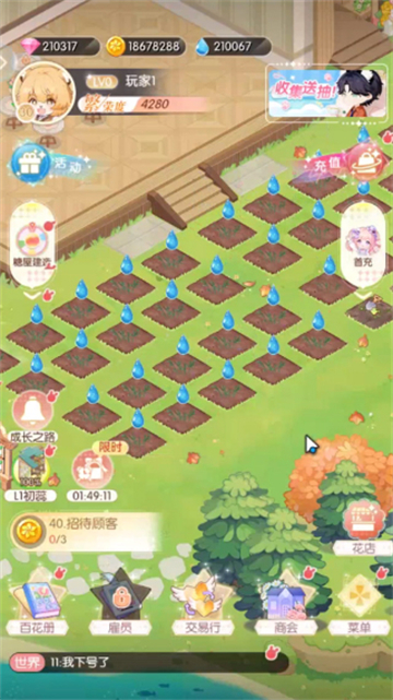 明星花店