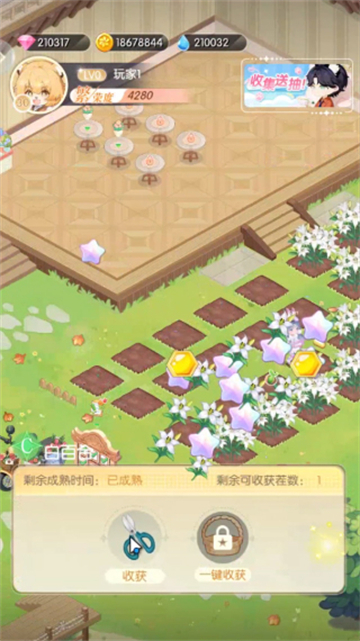 明星花店