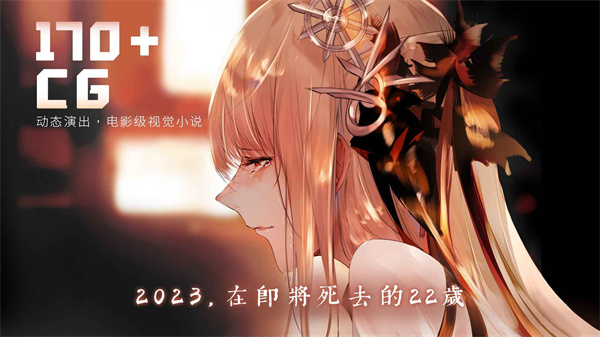 孟德大小姐与自爆少年安卓直装版