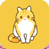 领养一只流浪猫