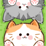 猫咪疗愈所