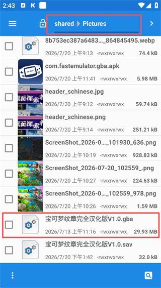宝可梦纹章汉化版