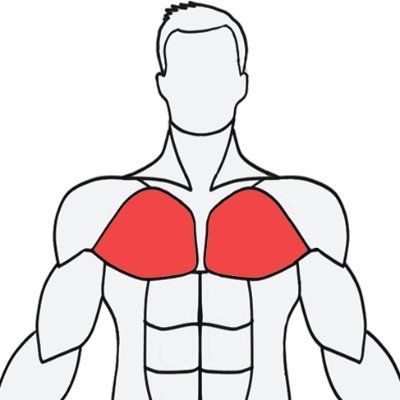MuscleWiki中文版