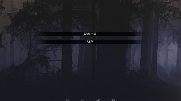 无处可藏游戏中文版截图2