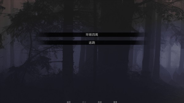 无处可藏游戏中文版