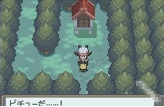 口袋妖怪魂银手机版