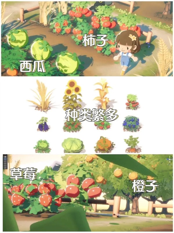 泡芙天空岛手游