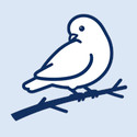 bbspace