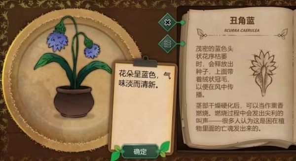 奇异园艺
