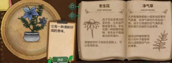 奇异园艺