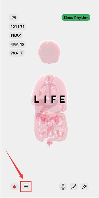 生命life游戏中文版