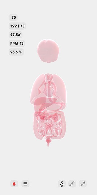 生命life游戏中文版