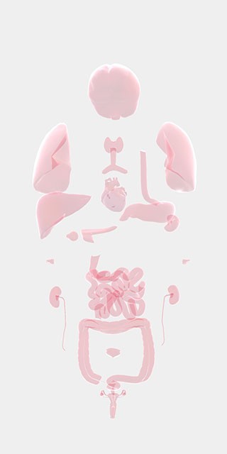 生命life游戏中文版