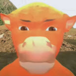 牛来