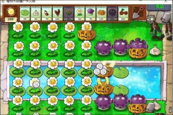 pvz95版