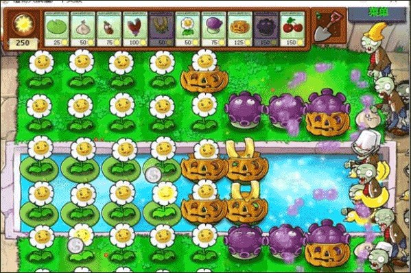 pvz95版