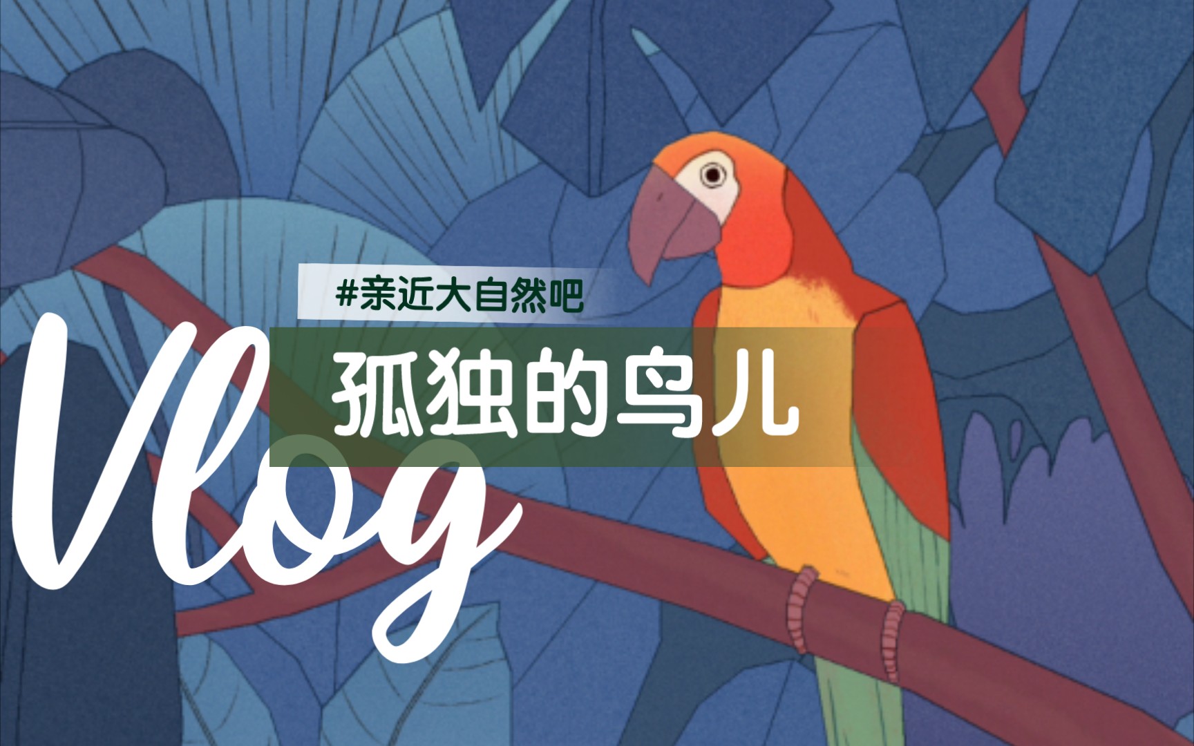 孤独的鸟儿完整版