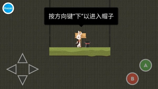追逐繁星的兔子
