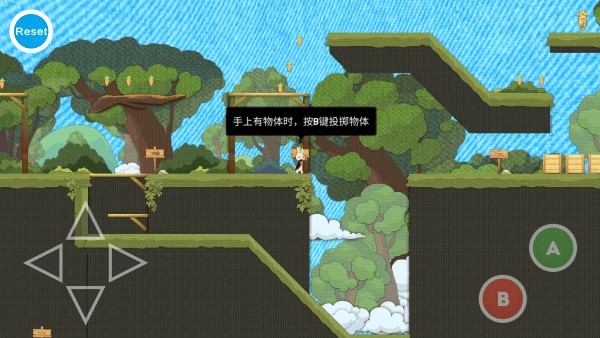追逐繁星的兔子