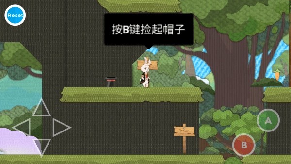 追逐繁星的兔子