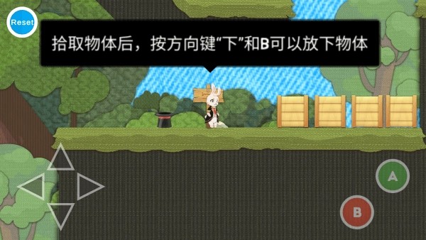 追逐繁星的兔子