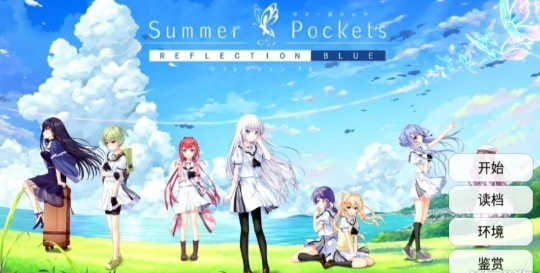 夏日口袋中文版