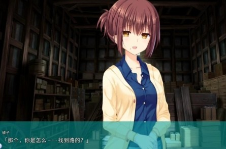 夏日口袋中文版