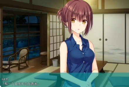夏日口袋中文版