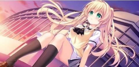 夏日口袋中文版