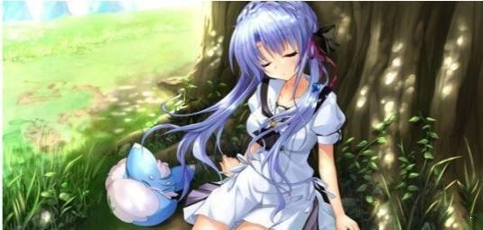 夏日口袋中文版