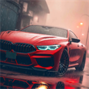 Driving School sim汉化版