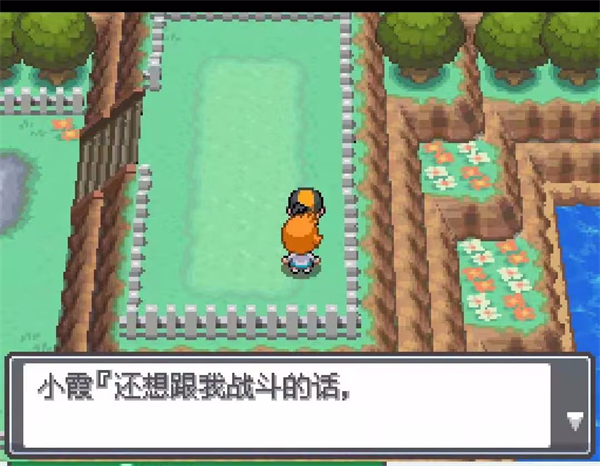 口袋妖怪魂银汉化版