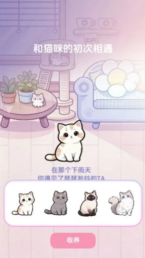 橘子小屋