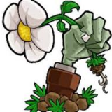 植物大战僵尸招笑版时空go蛙