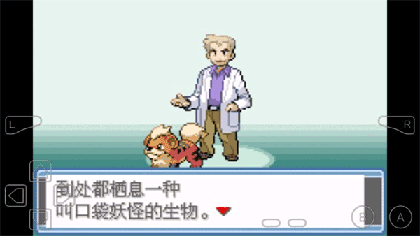口袋妖怪永恒之焱xyz神兽版截图1