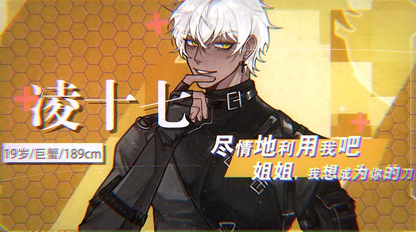 凌十七