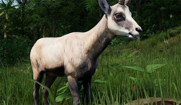 恐龙岛steam手机版