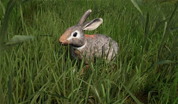 恐龙岛steam手机版