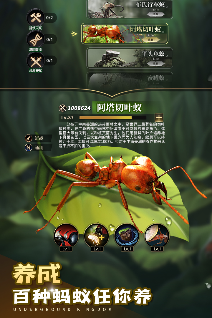 小小蚁国37版本截图5