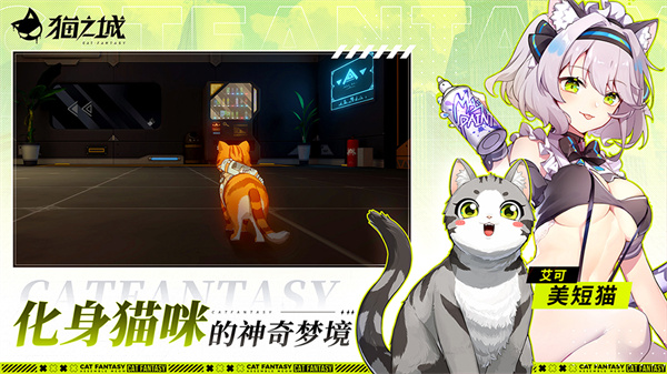 猫之城国际服截图4