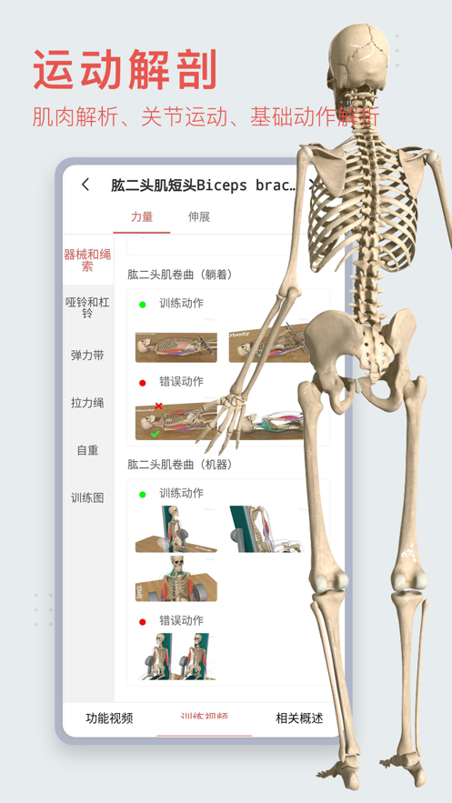预览图3