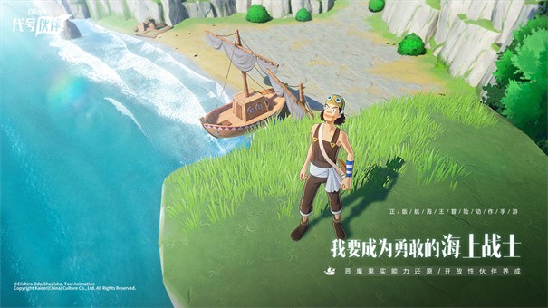 代号伙伴截图3
