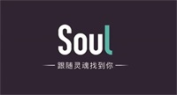 soul怎么精确查找一个人