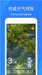 预览图3