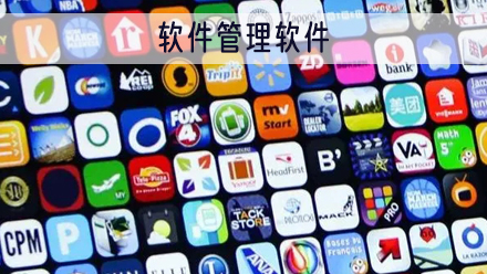 应用管理软件