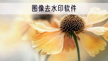 图像去水印软件